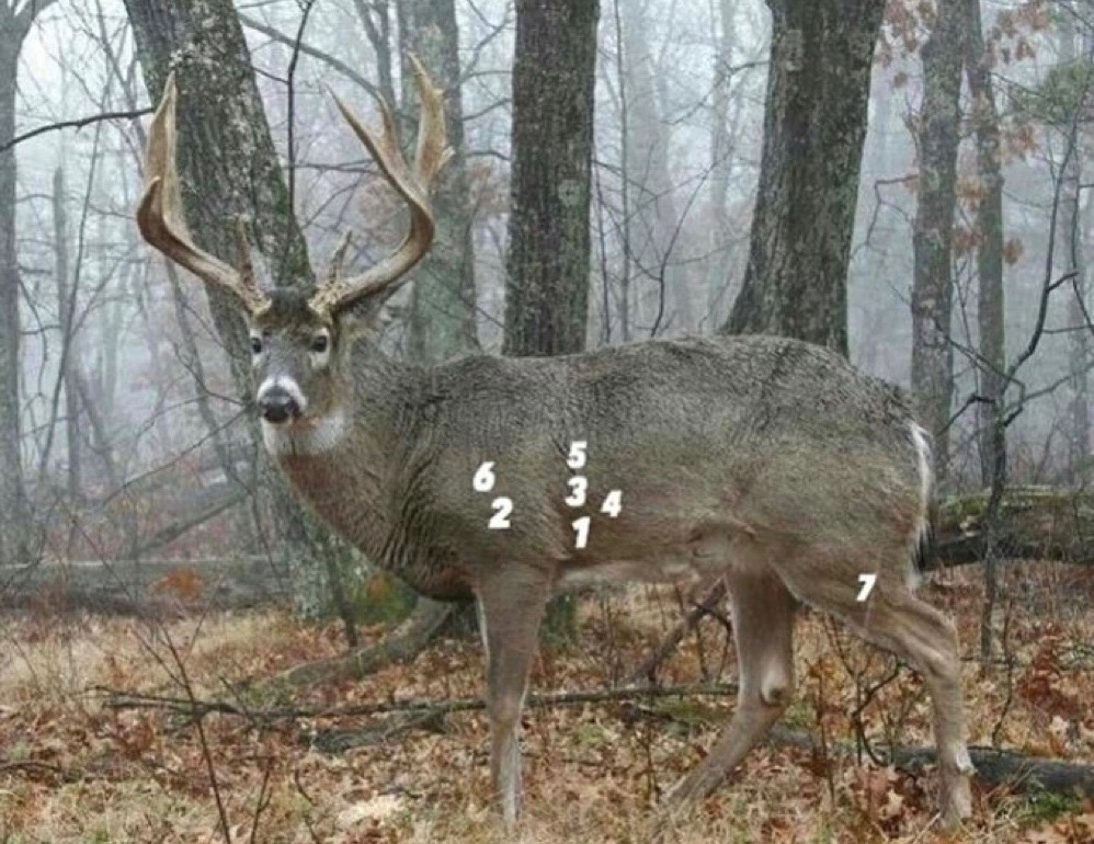 PSE Archery (@psebows) on Twitter photo Call your shot!
#PSEbows #PSEnation #PSEarchery #kryptek #eastmans
<a href="/eastmans/">Eastmans' Hunting</a> <a href="/kryptekoutdoors/">Kryptek Outdoor Group</a> Call your shot!
#PSEbows #PSEnation #PSEarchery #kryptek #eastmans
<a href="/eastmans/">Eastmans' Hunting</a> <a href="/kryptekoutdoors/">Kryptek Outdoor Group</a>