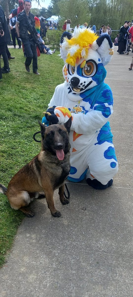 Linoo83🇫🇷 tweet media