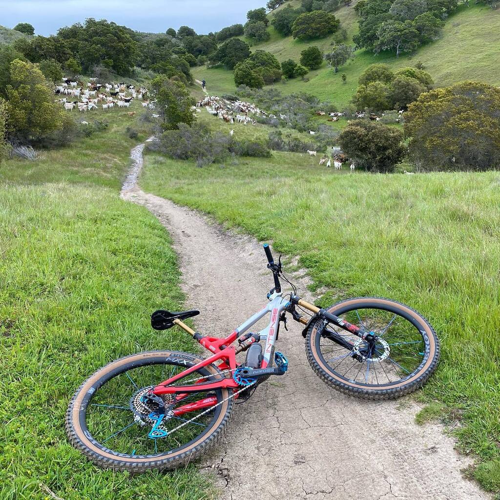 Toro Grind tweet media