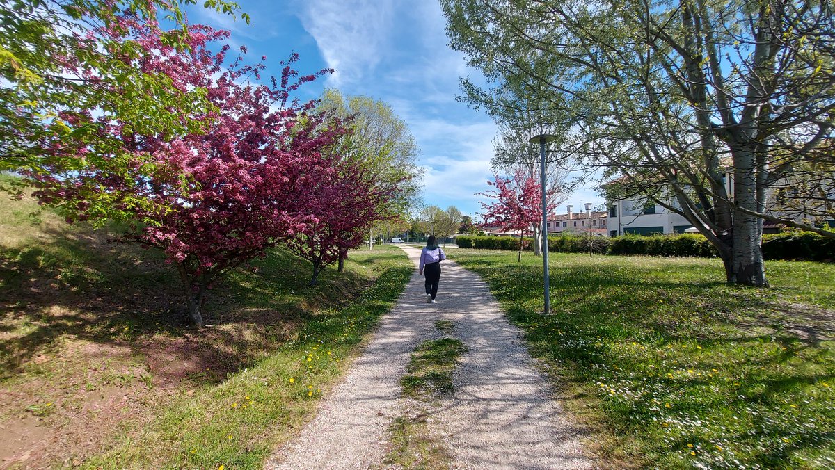 Savy 🌙 tweet media