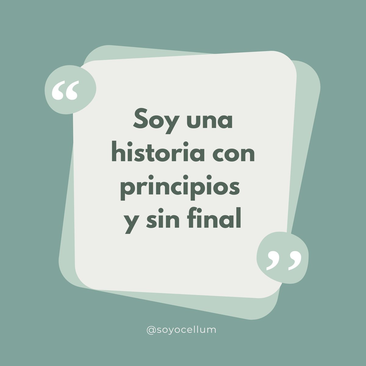 ø — Ocellum❞ tweet media