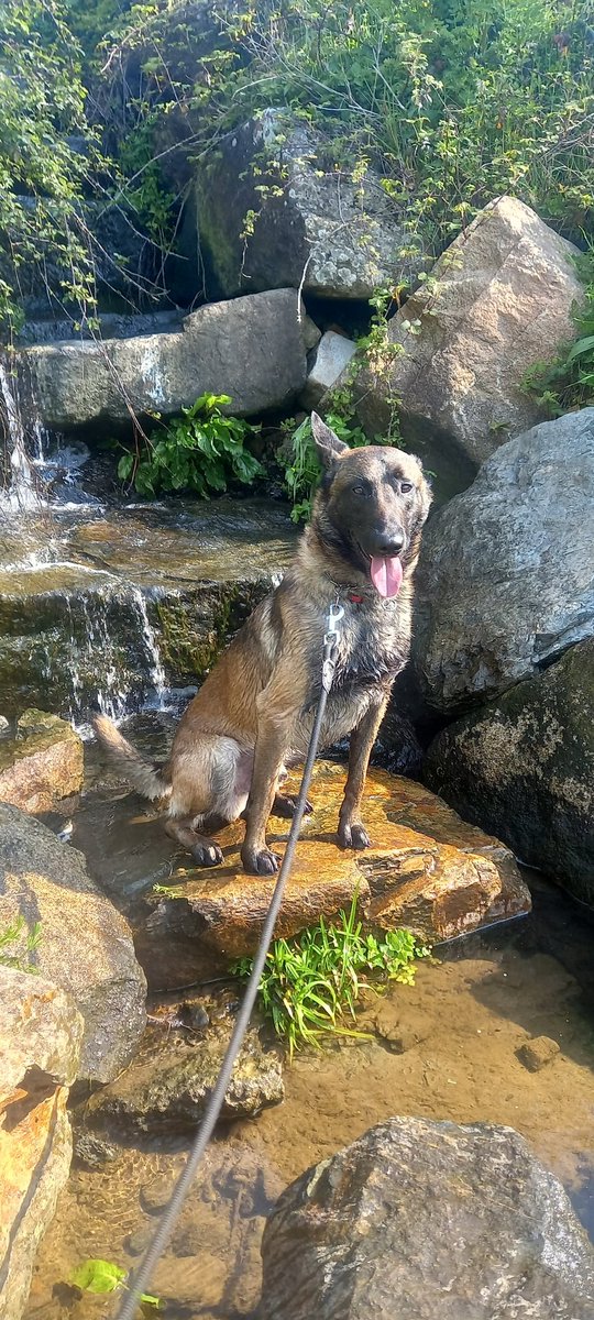 Linoo83🇫🇷 tweet media