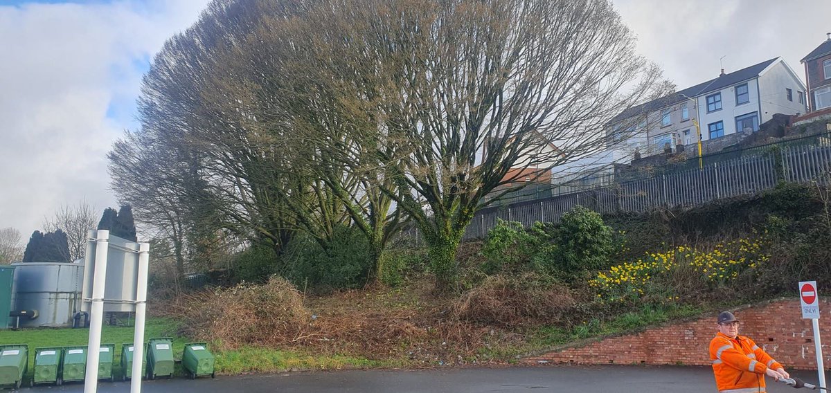 SASRopeandRail's tweet photo. One aspect of our project on the Core Valley Lines includes cutting trees on third party land, last week we had some large trees that needed to be removed along the Afon Taf High School boundary. 
#TeamTaf #CoreValleyLines #TransportForWales #Trees #Electrification #Deveg https://t.co/1dZc4UdNrX