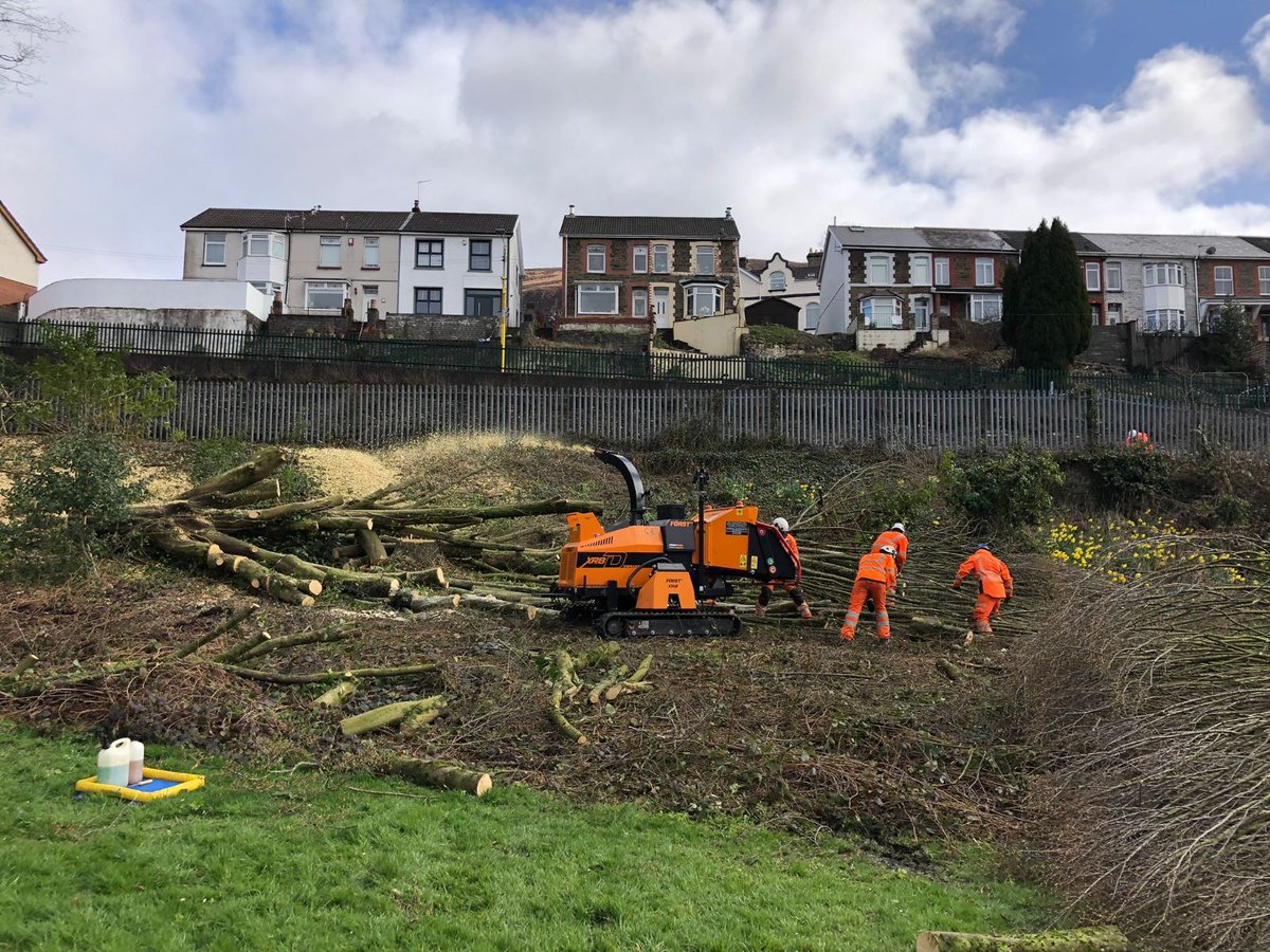 SASRopeandRail's tweet photo. One aspect of our project on the Core Valley Lines includes cutting trees on third party land, last week we had some large trees that needed to be removed along the Afon Taf High School boundary. 
#TeamTaf #CoreValleyLines #TransportForWales #Trees #Electrification #Deveg https://t.co/1dZc4UdNrX