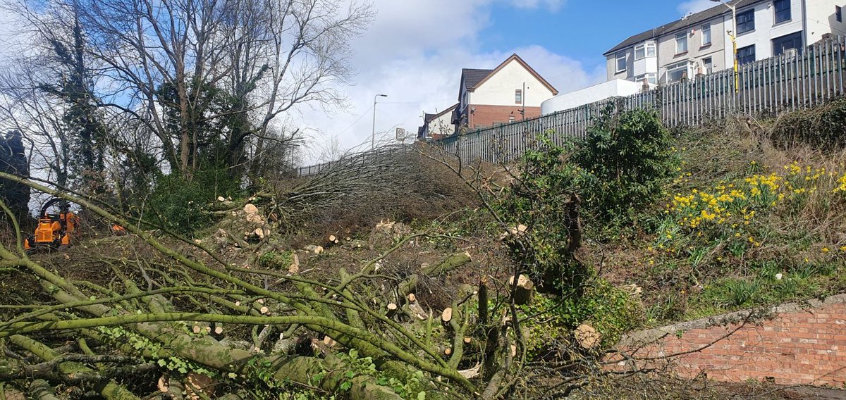 SASRopeandRail's tweet photo. One aspect of our project on the Core Valley Lines includes cutting trees on third party land, last week we had some large trees that needed to be removed along the Afon Taf High School boundary. 
#TeamTaf #CoreValleyLines #TransportForWales #Trees #Electrification #Deveg https://t.co/1dZc4UdNrX