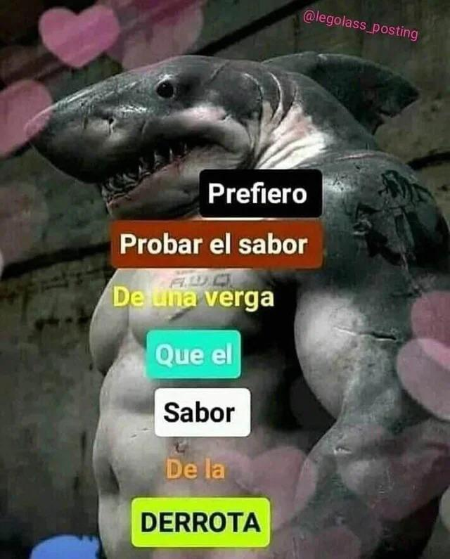 [#LOL]                              [ JORNADA 6 ]

🏆<a href="/ALL_lolleague/">ALL - Amateur Lol League</a> 

- LKGAMING ACADEMY VS VORTEX GAMING 

*En busca de seguir invictos en la competición; Sera posible...*  

A las 21:30h

#GOLK