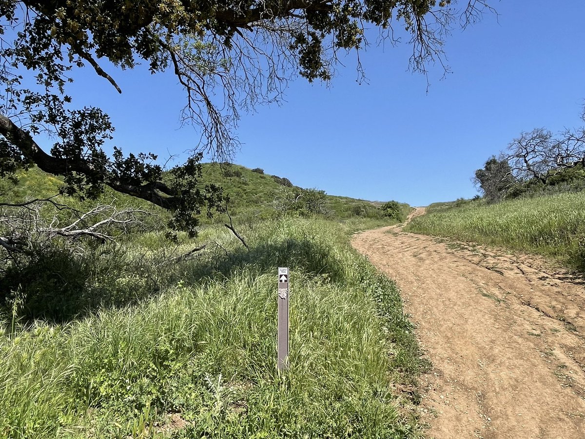 hillypaige2's tweet photo. 5 of 10 in the @COSChallenge  - #Alapay trail in the always wonderful Lang Ranch open space.  Via Autumn Ridge and Sunrise trails.
Beautiful wildflowers and even a new lake, thanks to all the winter rain!
@COSFoundation https://t.co/XIBaDUGcwr