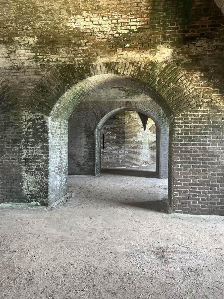 Weishuhn5's tweet photo. Amazing Day at Dry Tortugas National Park! 🪸🐬🐠 #drytortugas #keywest https://t.co/U8xNZvvQDR