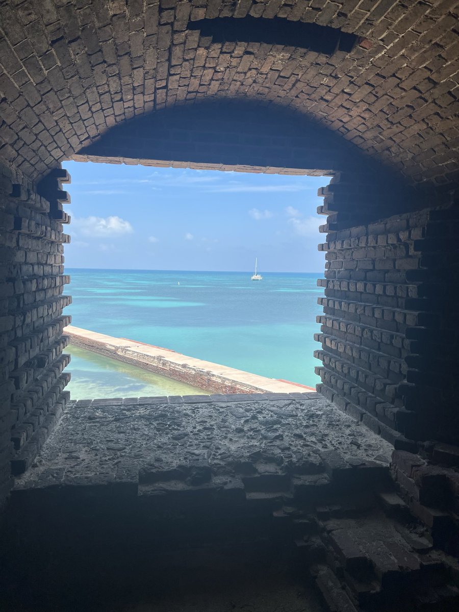 Weishuhn5's tweet photo. Amazing Day at Dry Tortugas National Park! 🪸🐬🐠 #drytortugas #keywest https://t.co/U8xNZvvQDR