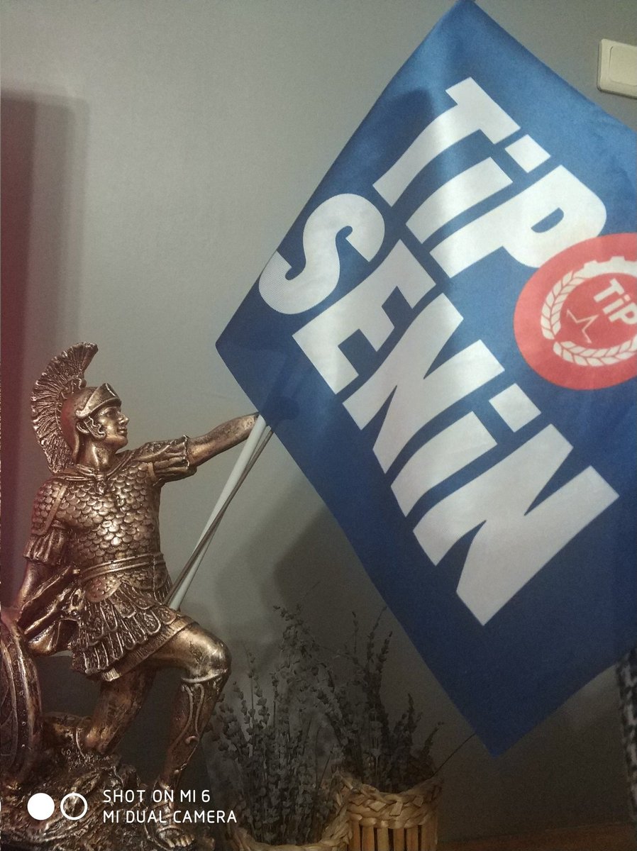 Yoldaş Leonidas bayrağı kaptı çok inatçı çıktı @tipgenelmerkez @TipliOgrenciler @tipsenin @TipIstanbul