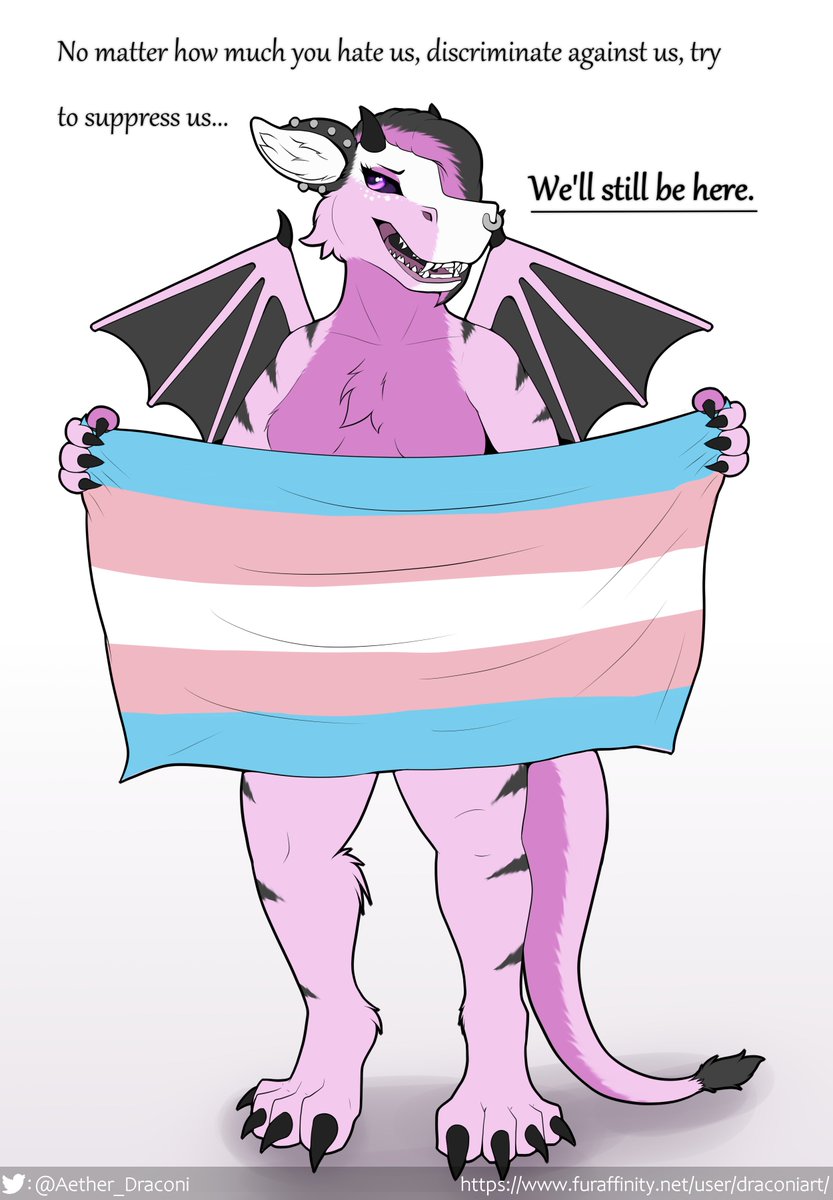 We have always existed, we still exist, and we will continue to exist long after bigotry has died out. ✊🏳️‍⚧️