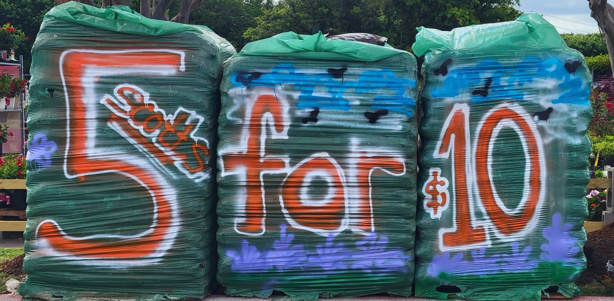 Leah Kirkpatrick#6505 tweet media