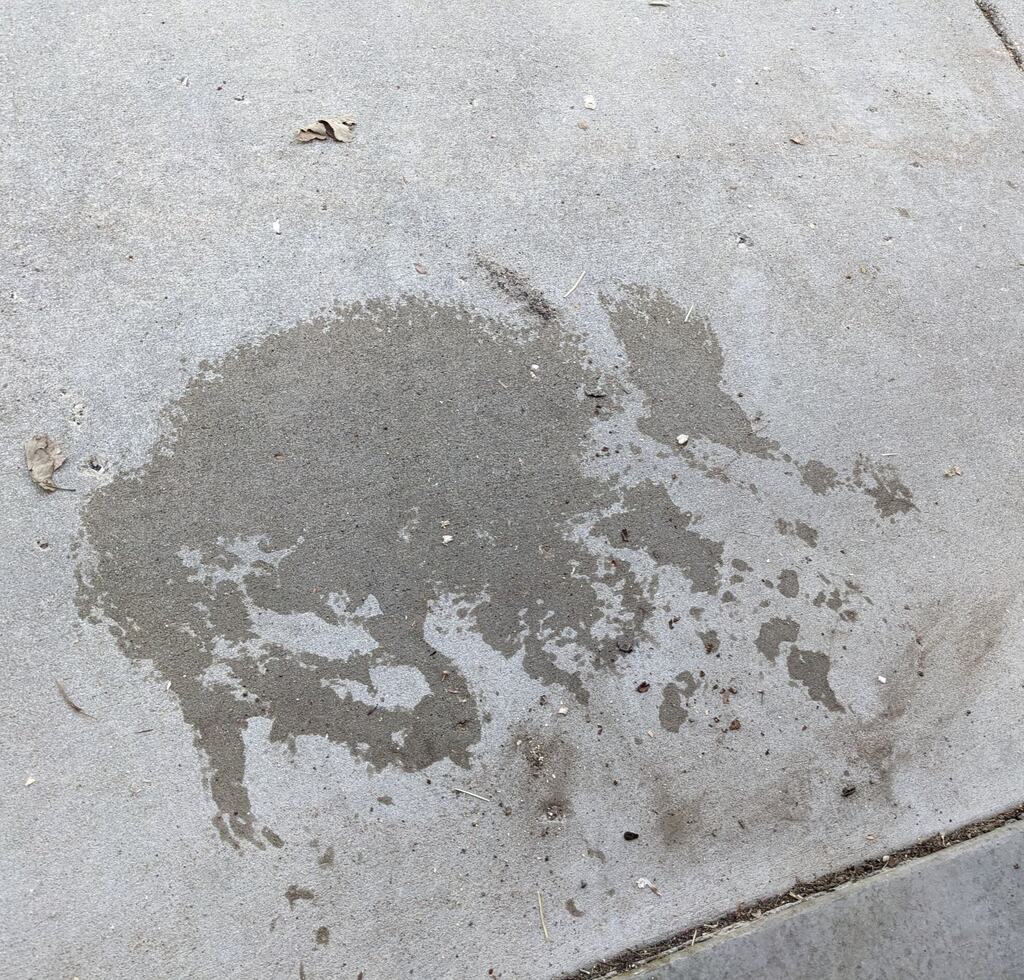 Mark Hayward tweet media