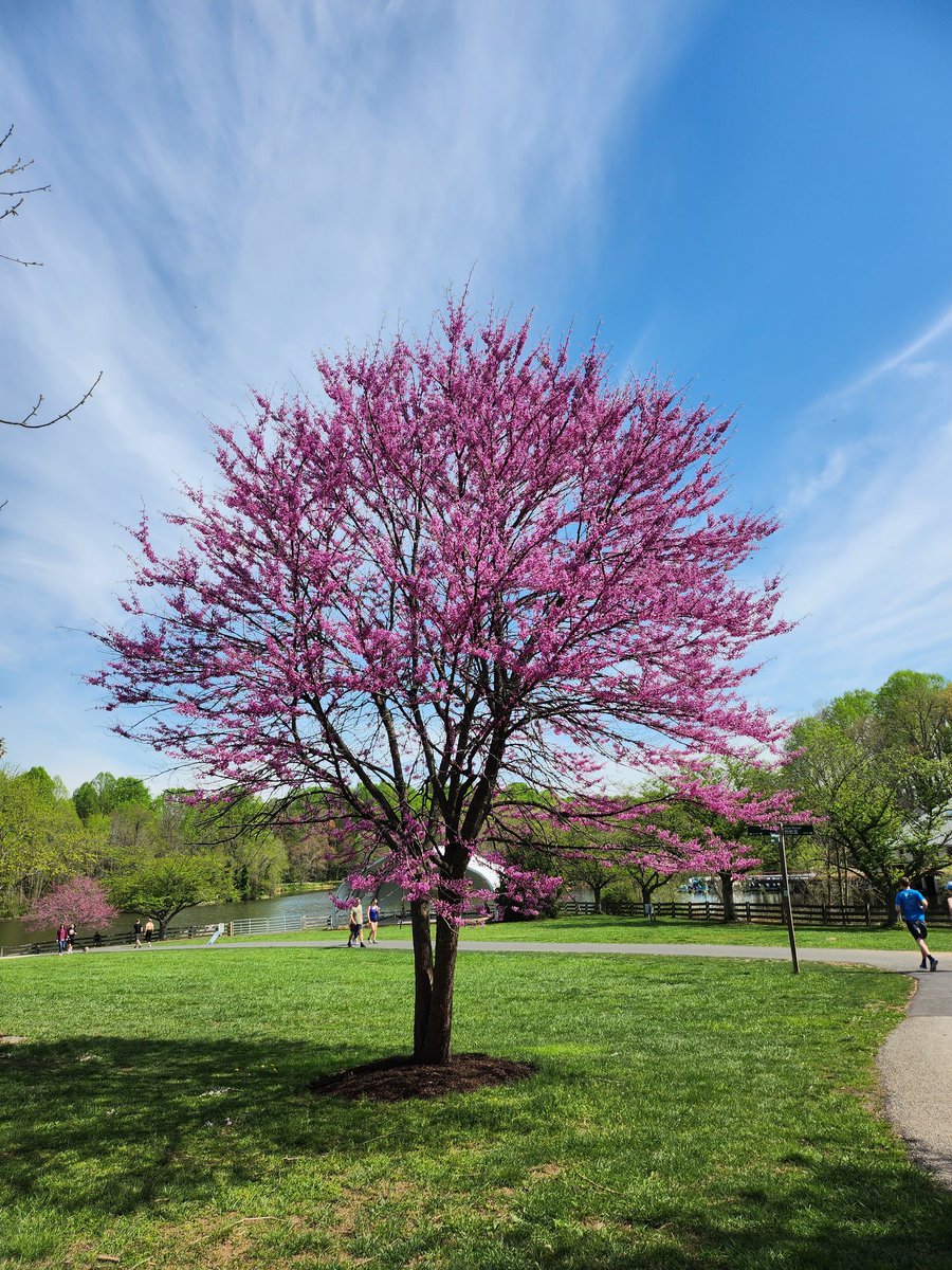 Today was a nice day for a walk in Centennial Pak