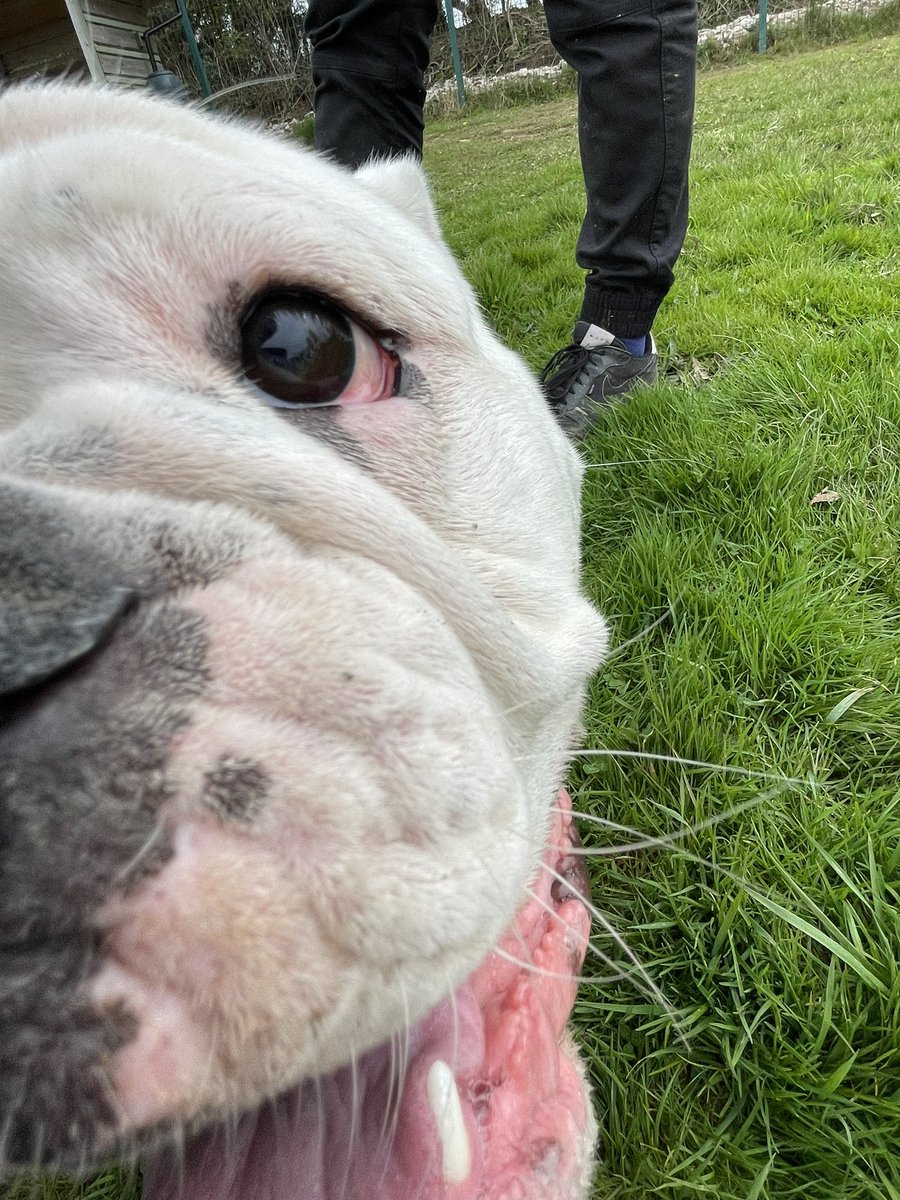 _harrietphipps's tweet photo. Volunteering at animal care is the joy I need in the third year of PhD 😂❤️ https://t.co/508HAPxXOj