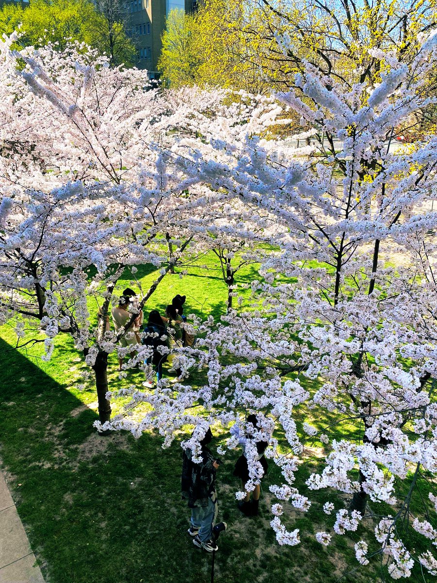 U of T Libraries tweet media