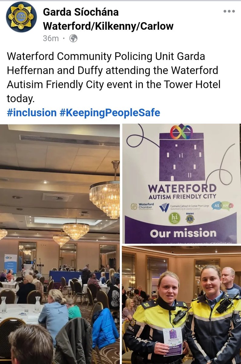 IPA Waterford ‘Viking Region’ 26 (@ipa_waterford) on Twitter photo 