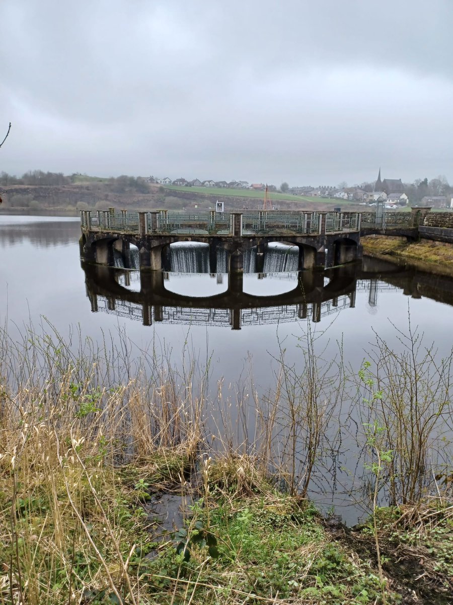 ManWell Community tweet media