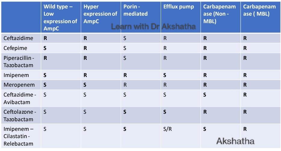 Identifying type of resistance in #Pseudomonas aeruginosa made easy
This is an oversimplified version, there can always be mixed resistance &amp; pattern may vary
Want to know more about management of Pseudomonas? Check out - youtu.be/Ps4Y2v-OPT4
#IDtwitter 
#ECCMID2023