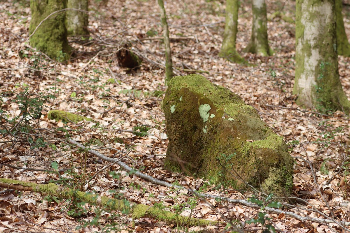Standing stone/boundary stone? in Oakham common, West Sussex