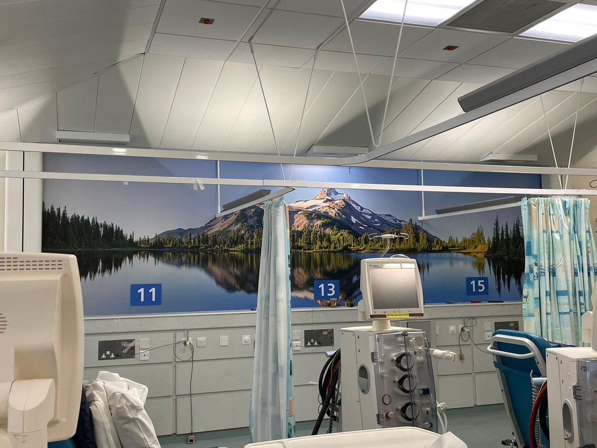 Daydream on dialysis the unit looks fabulous thanks <a href="/NUHCharity/">Nottingham Hospitals Charity</a> and the lovely <a href="/angelp2586/">Lorna Pottinger</a> for coming in on her day off the let the guys ❤️ which is your favourite?
