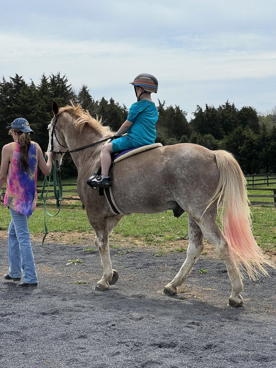 Julie Ramgeet tweet media