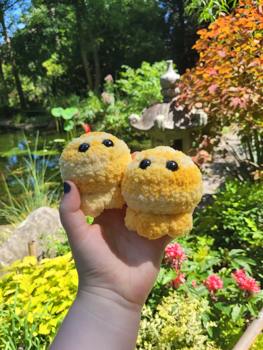 OddballCritters's tweet photo. This may brie a bit cheesy, but these Cheese Jellyfish are absolutely grate! 🧀🧀🧀 https://t.co/b7KloBqbVb