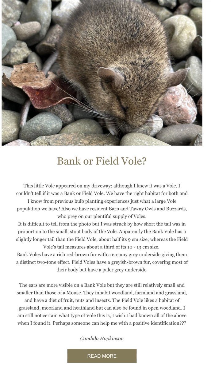 EnglishOutdoors's tweet photo. April Nature Notes is out https://t.co/jbtVeDbtgP @WoodlandTrust @WildlifeTrusts #naturelover #countrylife https://t.co/GnM6koq7Qv