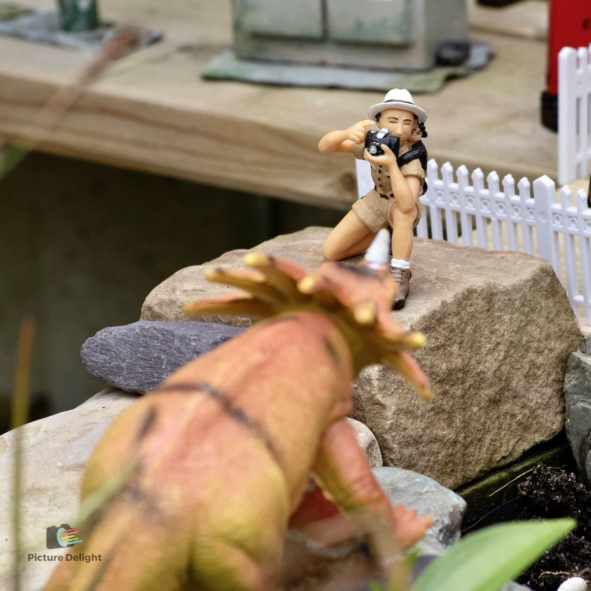 taliesin2022's tweet photo. As a photographer I don’t recommend taking photos of dinosaurs. #gardenrailways https://t.co/lyH1ywy2IA