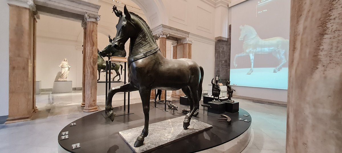 ciarax70's tweet image. #quadriga #Herculaneum #Mann