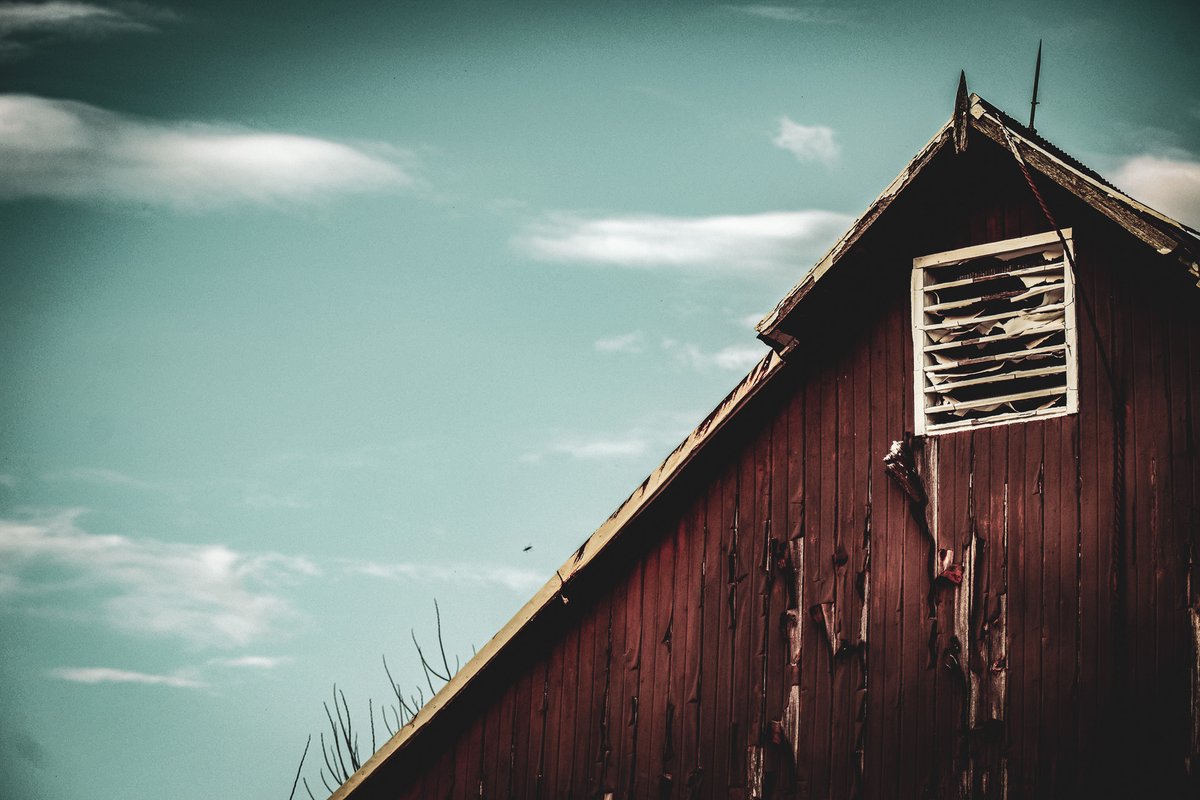 Some April adventures pexels.com/@filip-szyller…