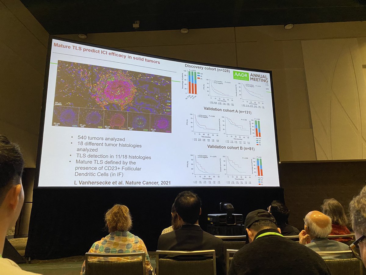 Florent Peyraud tweet media