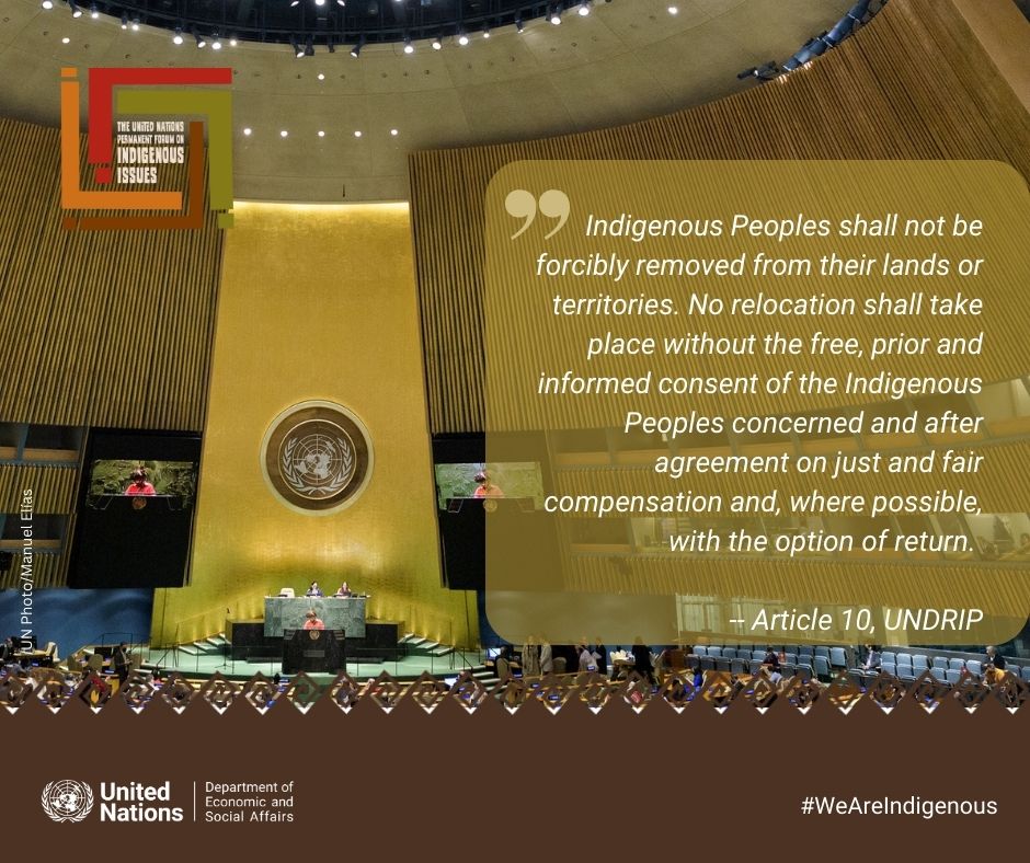 ⚠️Indigenous human rights defenders often face
Harassment
Criminalization
Disappearances
Killings

More than 200 #EnvironmentalDefenders were killed in 2020 – over a third of them are #IndigenousPeoples

📺 webtv.un.org
💬 #WeAreIndigenous #UNPFII