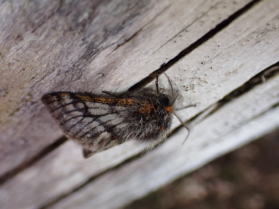 Katty Baird tweet media