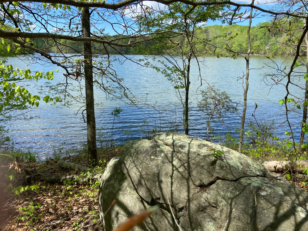 John M. Salsman tweet media