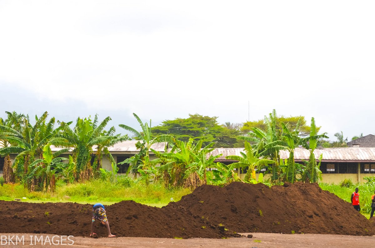 date_africa's tweet photo. 🇨🇲Cameroon : South West Football-  ·
Buea United FC President Valery Kadji begins Ndongo Field renovation work. The field which has been used by the club alongside Istanbul FA Buea and other veteran clubs will be given a new phase.
#utdabuea #utdacameroon #utdacameroun https://t.co/HP79L5hM5w