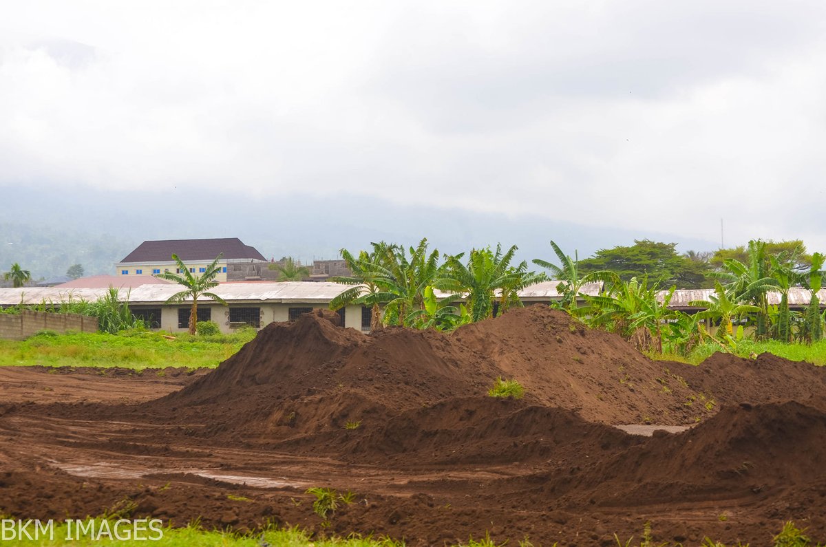 date_africa's tweet photo. 🇨🇲Cameroon : South West Football-  ·
Buea United FC President Valery Kadji begins Ndongo Field renovation work. The field which has been used by the club alongside Istanbul FA Buea and other veteran clubs will be given a new phase.
#utdabuea #utdacameroon #utdacameroun https://t.co/HP79L5hM5w
