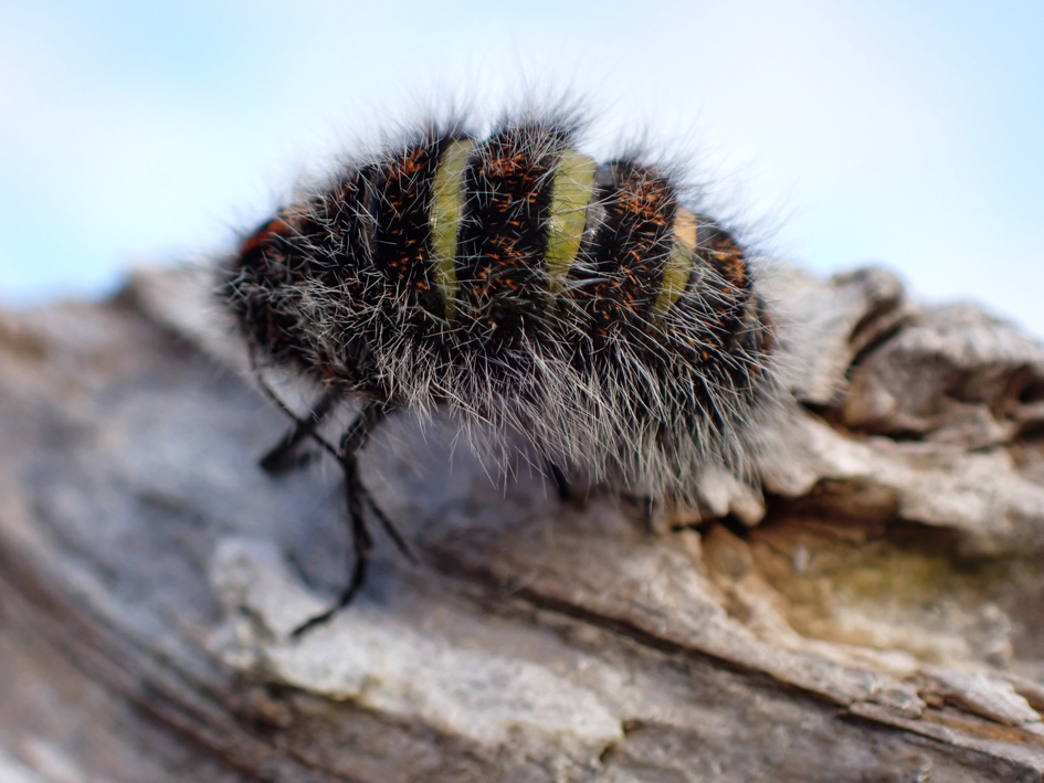 Katty Baird tweet media