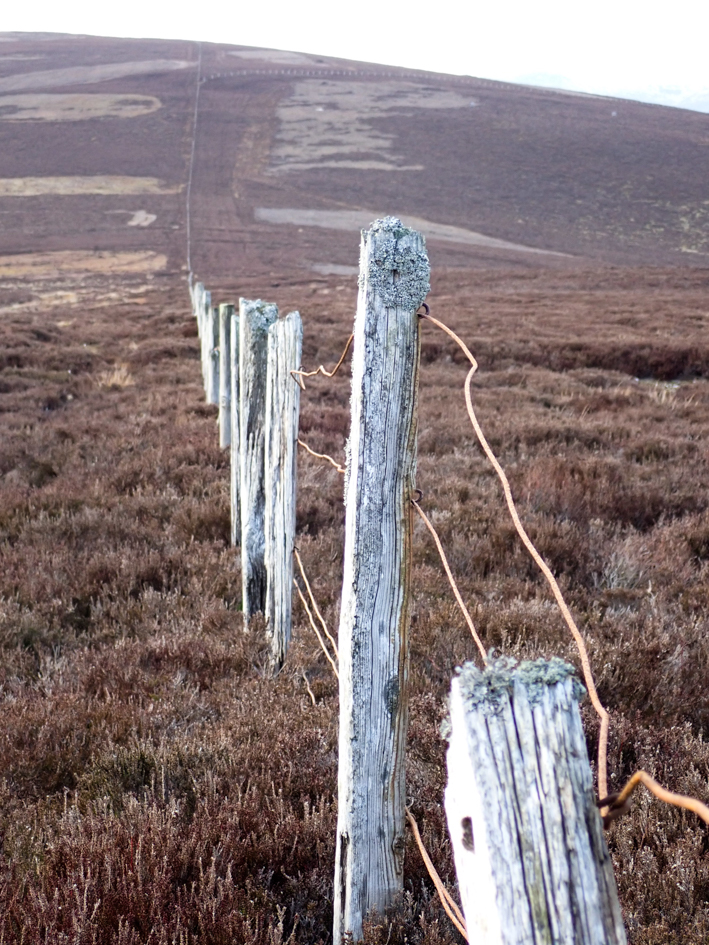 Katty Baird tweet media