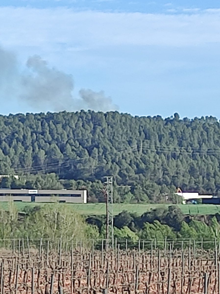 sfadfcat's tweet photo. La Federació d'@adfbages continua treballant en aquest servei. #adfcat https://t.co/LXKQgwjGkz