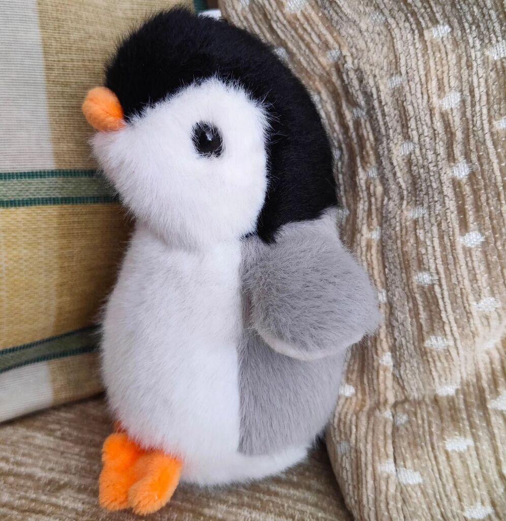 lauratejerina's tweet photo. #Instagram @pelucheando: Hello! 👋 My name is Endurance, I'm new in the family and I'm here to post a message from our human 👇
.
🙋‍♀️ I know it's been a long time since I last shared some of our dear Insta-plushie-friends. Even if I don't like sharing much about myself, today… https://t.co/U7BAtrzDdH