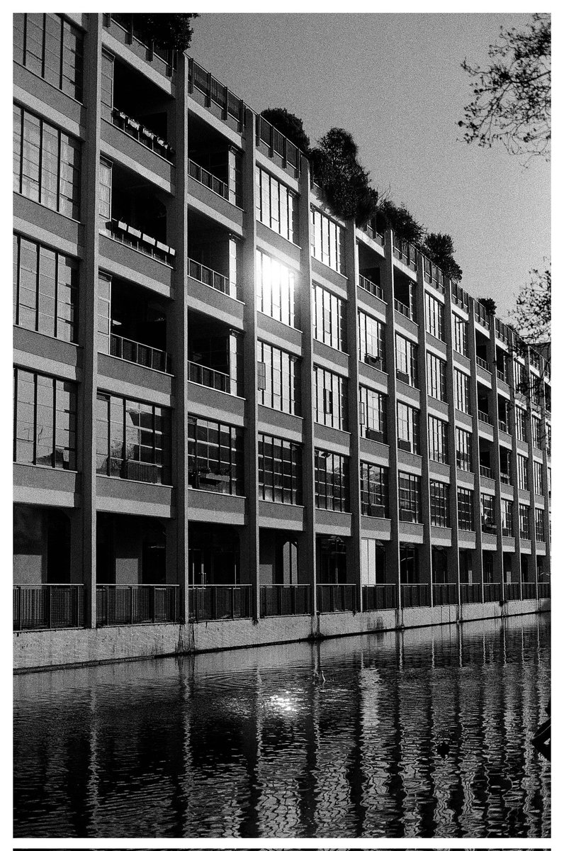 charliet166's tweet photo. London Sun... 

#Photography #Filmphotography #life https://t.co/9KGeyRJDmN