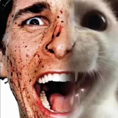 stdymalia's tweet image. onde o filho chora e a mãe n vê 

comecei a usar a plataforma Enem Action, e iniciei por biologia.

tbm fiz uns flashcards 🤏💓