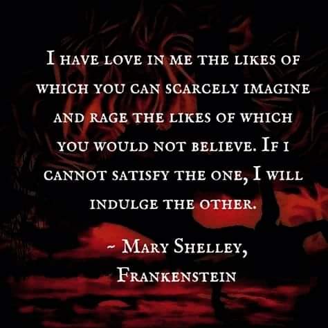 wordsofbin's tweet photo. Goosebumps.

#QuoteOfTheDay #WritingCommunity #writers #Authors #MaryShelley #AwesomeWriting https://t.co/b9gyk5yx2E