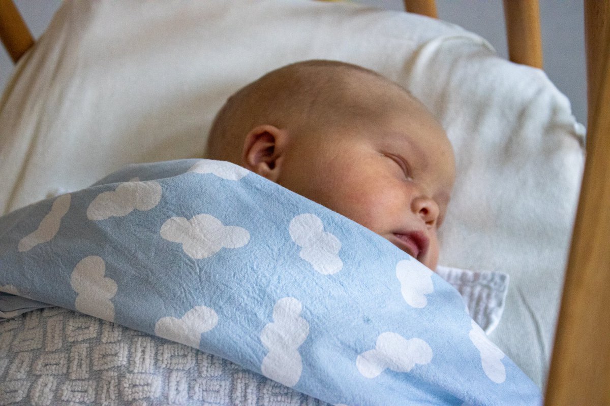 Laurens Soenen tweet media