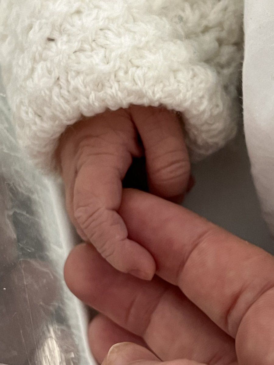 Dr Sabine Pasdelou tweet media