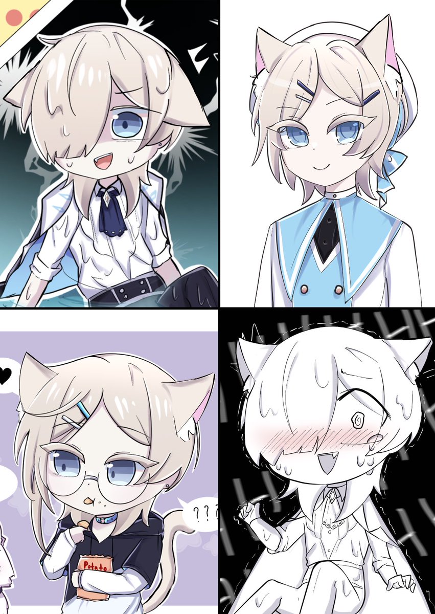 Stellan_LFA's tweet photo. (🐈) https://t.co/jMttXdlzv1