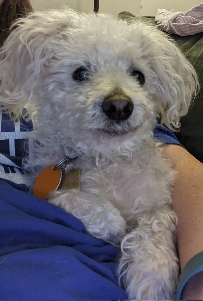 HAPPEE at UNC tweet media