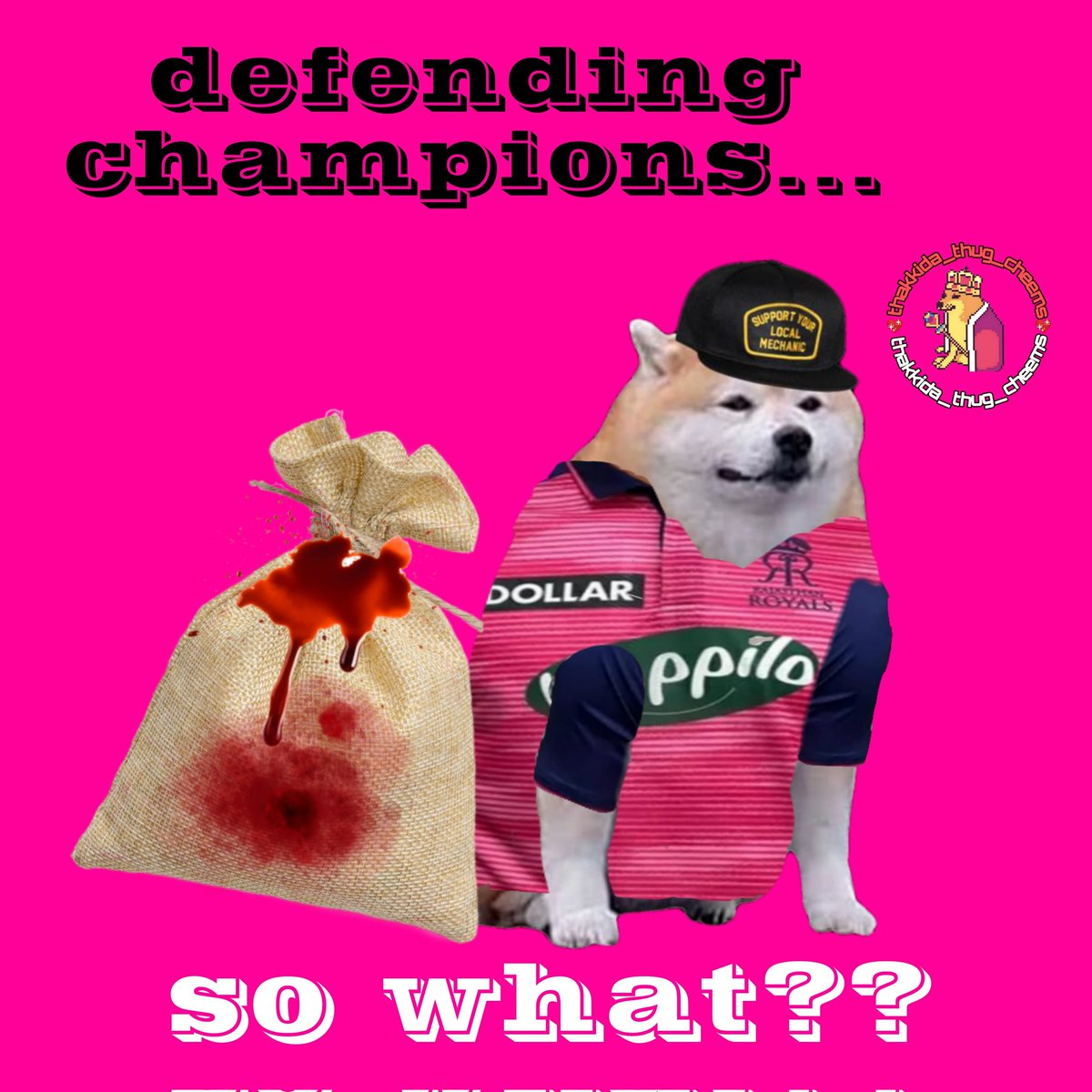 thugcheems's tweet photo. @rajasthanroyals 😜💖
#HallaBol https://t.co/qqxpGeNUBW