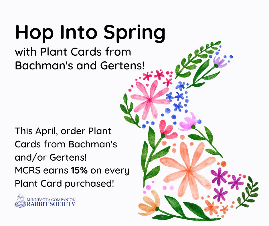 MNRabbitSociety's tweet photo. DON'T MISS THIS! 
All April, support MCRS &amp; order Plant Cards from @ShopBachmans &amp; @Gertens!
Step 1: Order: https://t.co/6mme88LPsN
Step 2: Pay: https://t.co/rrcJibO1hh
Step 3: We'll mail your Plant Cards to you! 
Questions? Email: fundraising@mncompanionrabbit.org
#mcrs https://t.co/hGVpNXUY6g